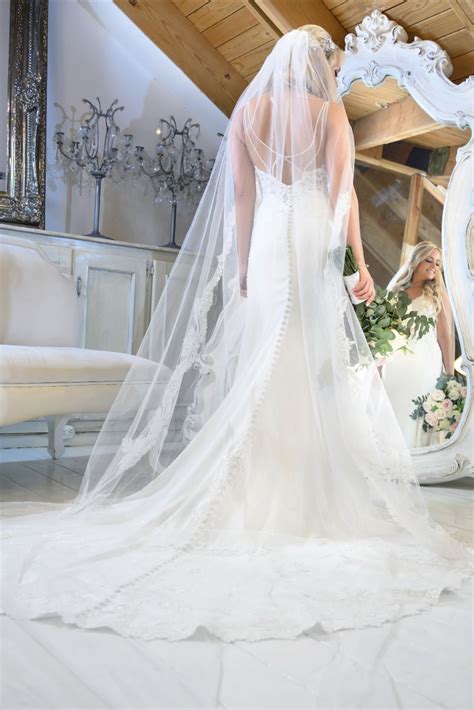 Mermaid Wedding Dress With Veil Wedding Ideas