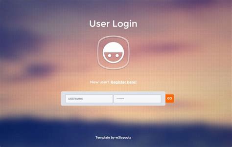 Flat User Login Form Widget Template By W3layouts Login Form