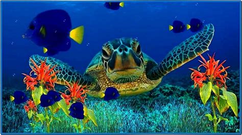 Coral Aquarium 3d Screensaver 10 Download Free