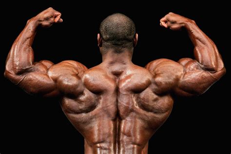 Feed Your Muscles A Sample Bodybuilding Diet