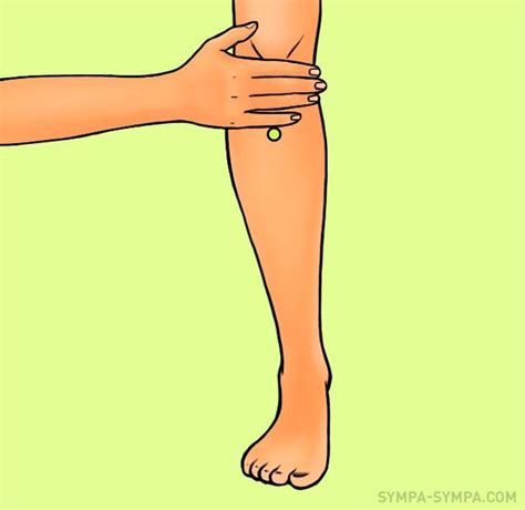 The health of our wrists not only depends upon the strength and tone of the muscles on the tops and bottoms of our forearms. 5 Astuces à savoir pour perdre du poids en 2020 | Perdre ...