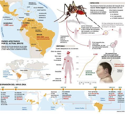 El Virus Zika En El Mundo Infografías En Castellano