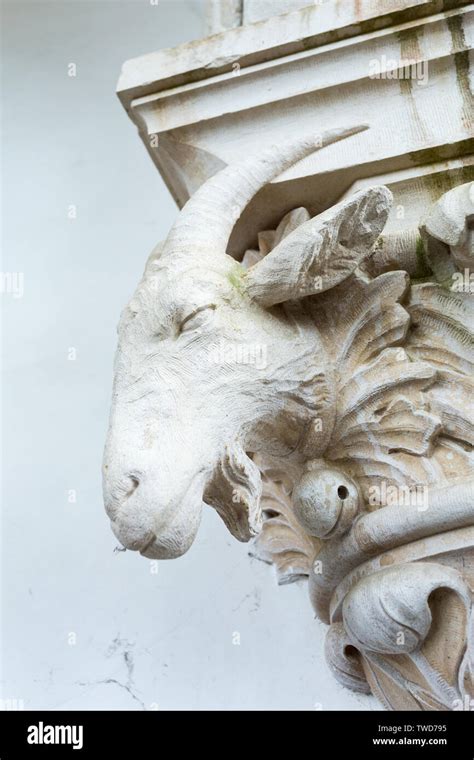 White Decorative Carved Stone Gothic Goats Head On Top Of Pillar Of