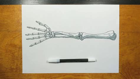 How To Draw Skeleton Arm Arm Bones Step By Step Youtube