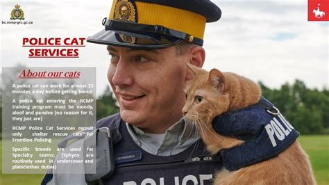 April Fools Roundup From Nude Beach To RCMP Cat Patrol CTV News