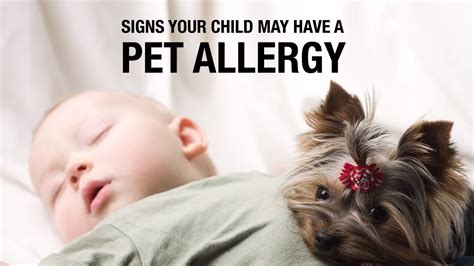 Can A 4 Month Old Baby Be Allergic To Dogs