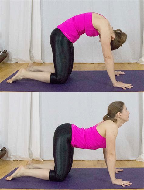 How to do cat and cow stretch for lower back pain and upper back pain. 12 Yoga Stretches Every Spin Enthusiast Needs | SparkPeople
