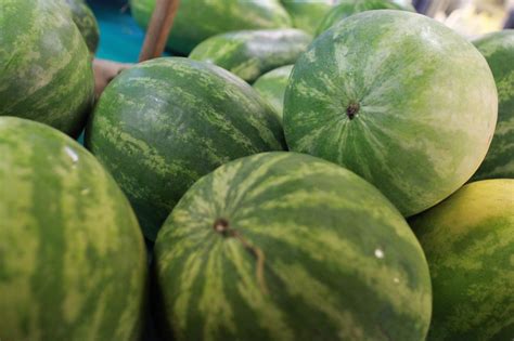 Is That Watermelon Ripe? | A Healthier Michigan