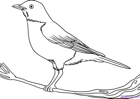 Outline Drawing Of Birds At Getdrawings Free Download