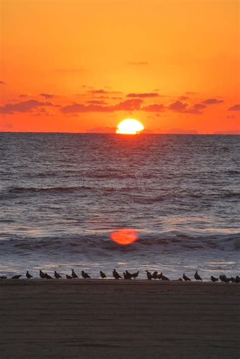 A Beautiful Sunset Closes Out A Day At Virginia Beach Stock Image