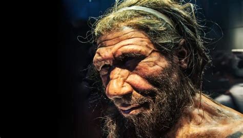 Great Facts Did Disease Buy Time Before Neanderthal Extinction