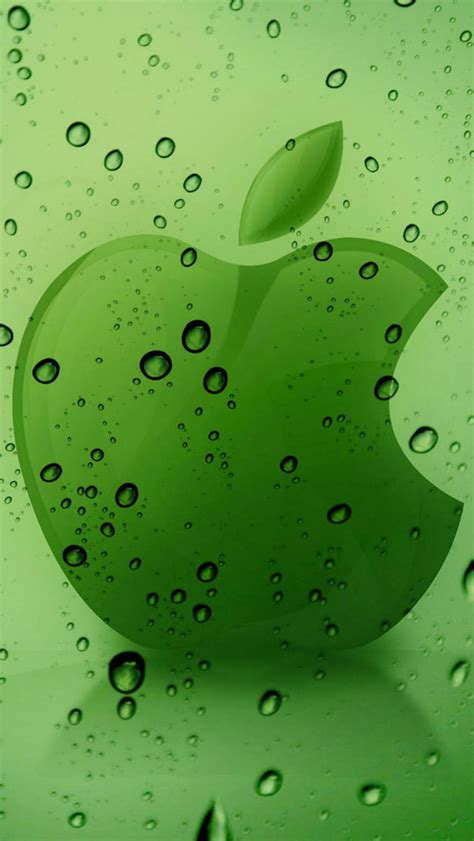 Green Apple Logo Wallpaper For Iphone X 8 7 6 Free Download On 3wallpapers
