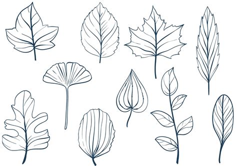 Free Leaves Vectors Download Free Vector Art Stock Graphics And Images