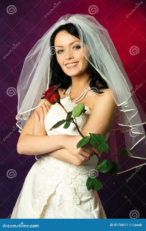 Sexy Brunette Bride Stock Image Image 8176611