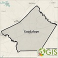 Guadalupe County GIS Shapefile and Property Data - Texas County GIS Data