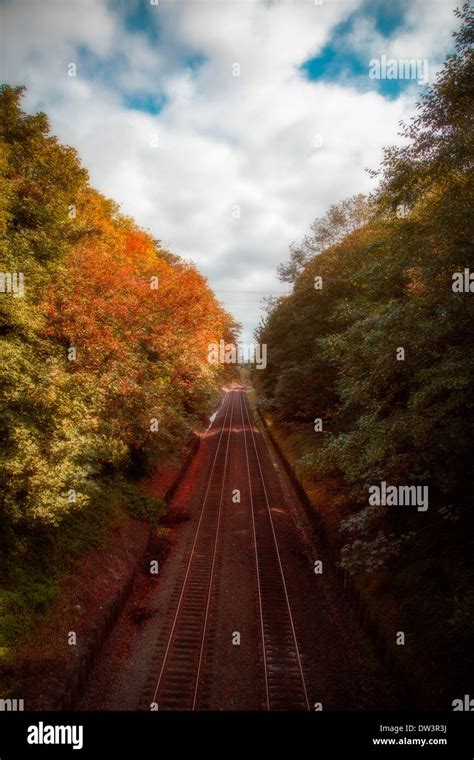 A View Looking Down On Train Tracks Surrounded By Autumn Foliage Stock