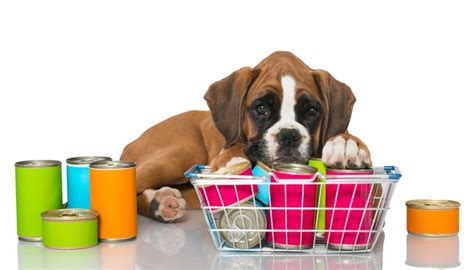 If your veterinarian recommends a special veterinary diet for your dog, it doesn't mean they have to eat bland or boring food. Best Dog Food for Boxers: 7 Vet Recommended Brands - Dog ...