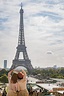 photo-of-two-women-posing-in-front-of-eiffel-tower-paris-597049 - LIBUR
