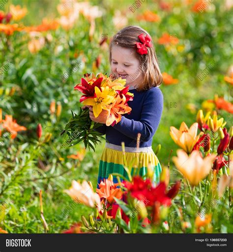 Cute Little Girl Picking Lily Image And Photo Bigstock