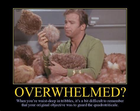 🖤 12 Star Trek Memes Humorous 2022