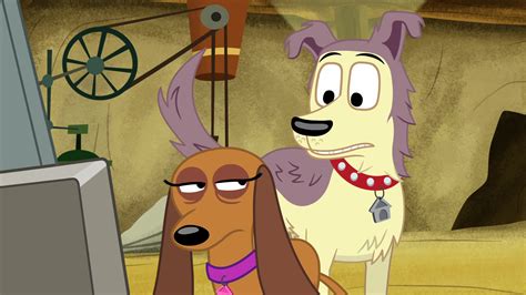 watch pound puppies season 3 online stream tv shows stan