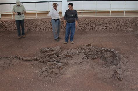 Good Ribbance U Of T Researcher Finds Dino Rib Bones Reveal Remnants
