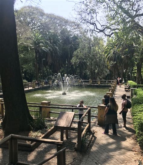 Parque da Água Branca em São Paulo Revisitado e informações