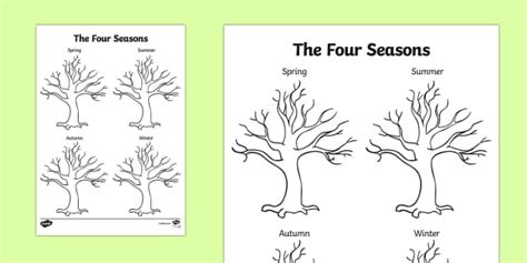 Four Seasons Tree Drawing Template Seasons Trees Plants Draw