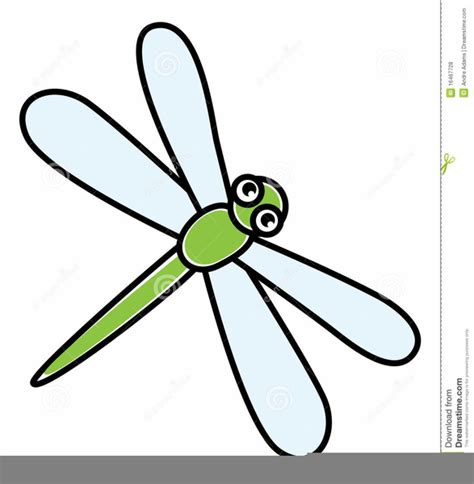 Dragonfly Animated Clipart Free Images At