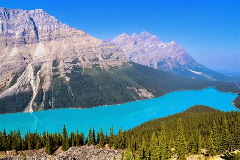 Peyto Lake Lookout Banff National Park Canada 60004000 Oc R