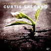 Carátula Frontal de Curtis Salgado - The Beautiful Lowdown - Portada