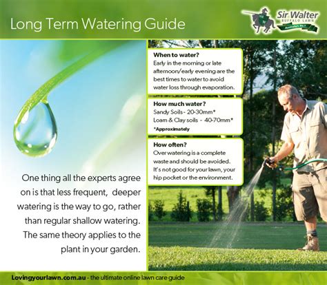 Don't water so long that it runs down the street. Long Term Watering | Lawn care advice from loveyourlawn | Love your Lawn