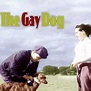 The Gay Dog - Rotten Tomatoes