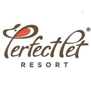 The environment was extremely comfortable, everyone got along, & they're well put together. Perfect Pet Resort - Home | Facebook
