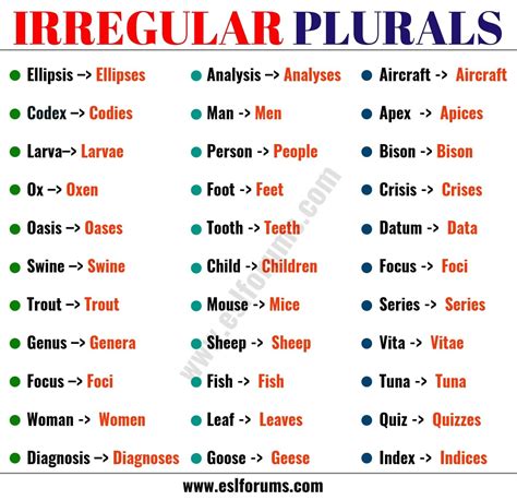 Important Irregular Plural Nouns In English