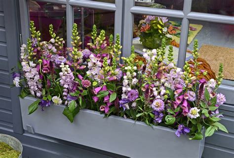 Adding them to your home lets you express your personality and style. How Window Box Planters Can Add Spring Color to Your Home ...