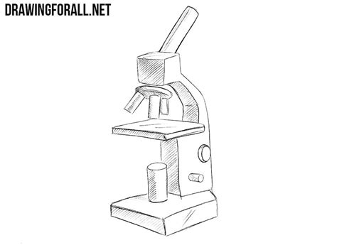 Discover 69 Compound Microscope Sketch Diagram Vn