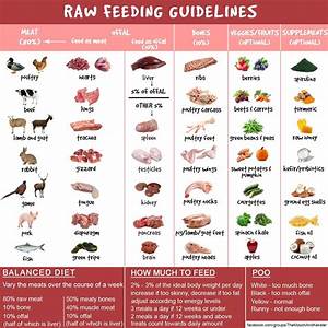 Pin By Hint Of Shimmer On Weenies Raw Feeding For Dogs Raw Dog