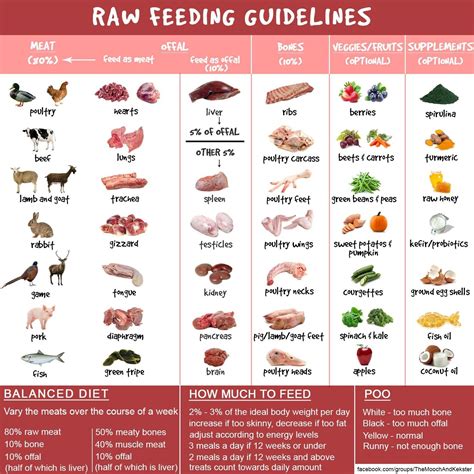 Why homemade instead of purchased dog food? Raw dog food guidance chart | Make dog food, Healthy dog ...