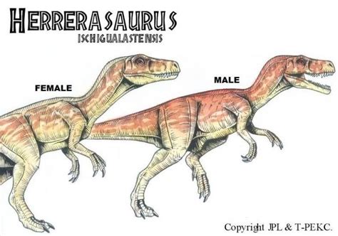 Herrerasaurus Ischigualastensis Jpl Live The Legend Wiki Fandom