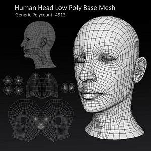 Baby Head Base Mesh 3D Model TurboSquid 1274099