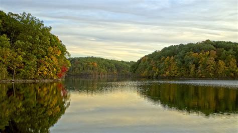 Yellow Red Green Autumn Trees Bushes Forest Under Clouds Blue Sky