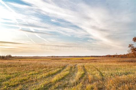 Clouds Over An Autumn Meadow And Forest Stock Photo Image Of Corn