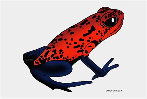 Poison Dart Frog Clipart Transparent Background Poison Dart Frog
