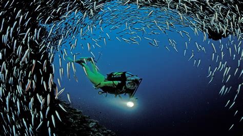 Hd Scuba Diving Wallpaper Wallpapersafari