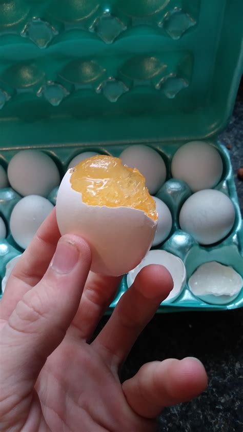 My Fridge Froze My Eggs Rmildlyinteresting