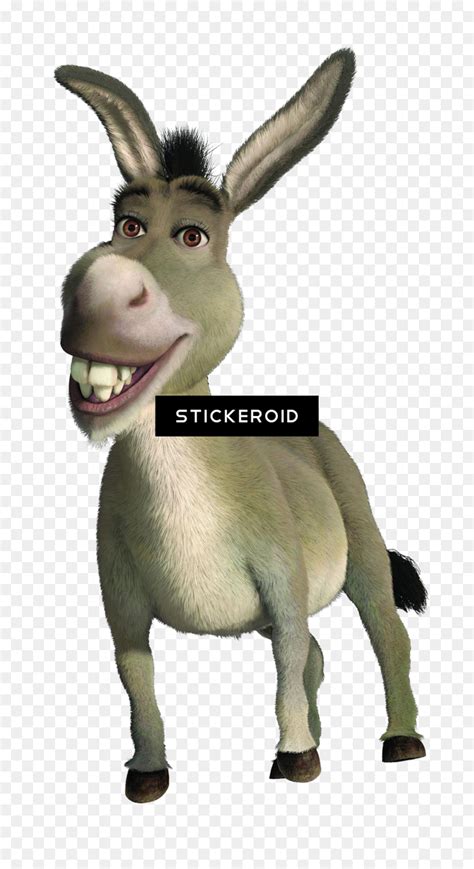 Donkey Shrek Shrek Donkey S 15 Most Hilarious Quotes Screenrant