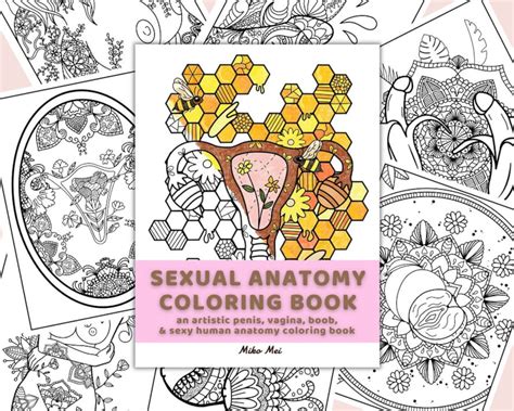 Sexual Anatomy Coloring Book 30 Page Pdf Etsy