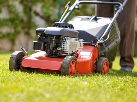 Why You Shouldnt Be Mowing Your Lawn Every Week Readers Digest