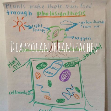 Image Result For Science Anchor Charts Middle School